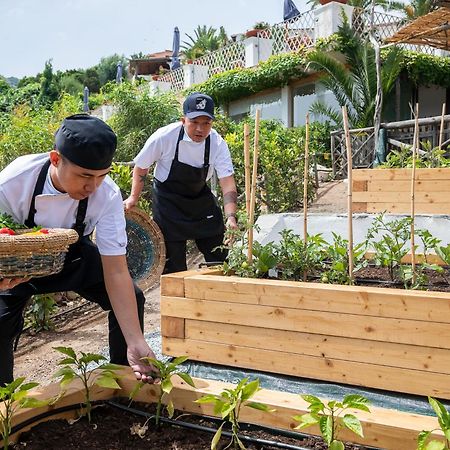 Hotel Balocco Порто-Черво Экстерьер фото